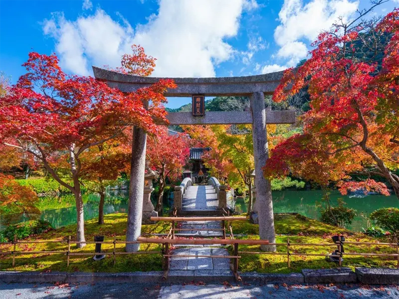 Japan Discovery: 6 Days 5 Nights Tour